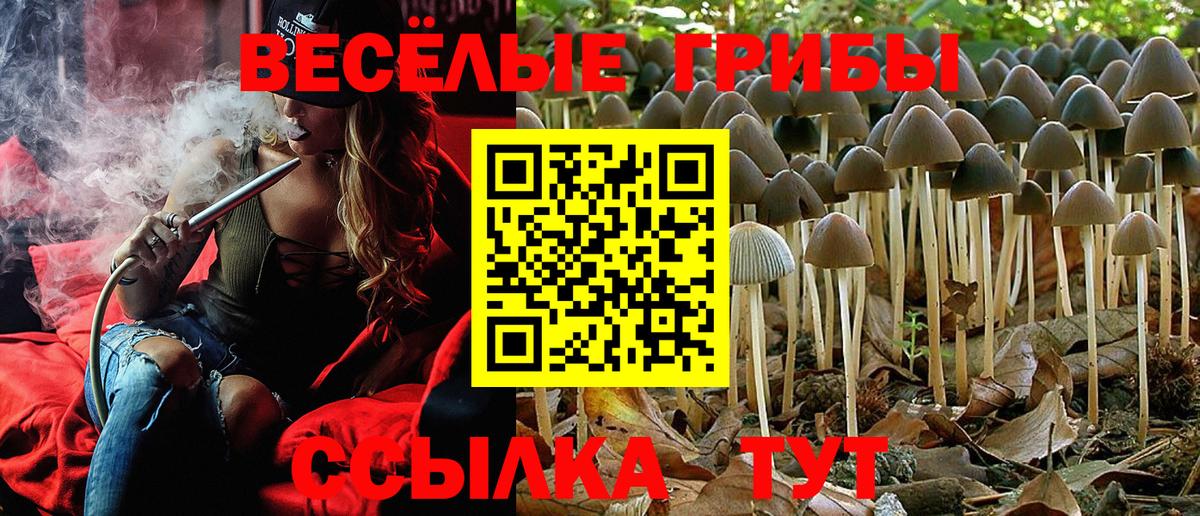 Псилоцибиновые грибы GOLDEN TEACHER  Галлюциногенные грибы Cubensis  Копейск  Вход с VPN 